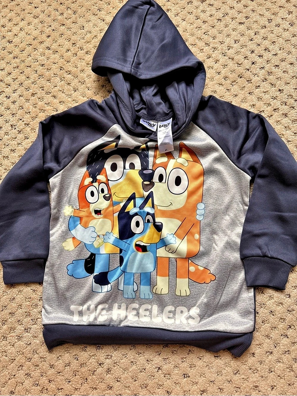 NEW Bluey The Heeler Family Hoodie